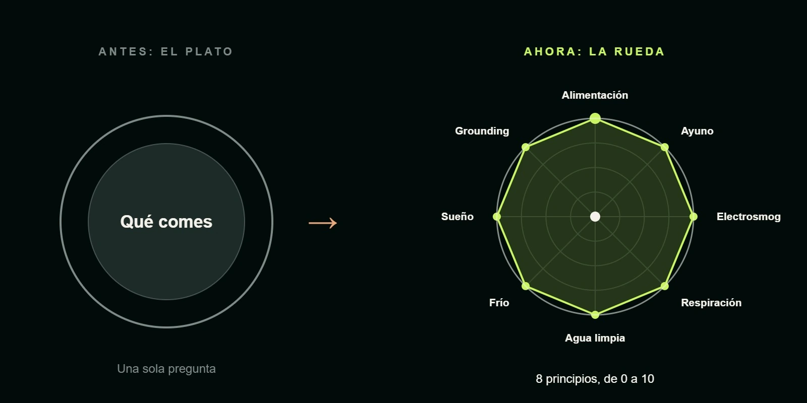 Comparación ilustrativa entre centrarse únicamente en qué comes y considerar ocho áreas del método de la Rueda de la Nutrición Moderna